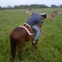 JOAQUIN P (@joaquinalbertop) 's Twitter Profile