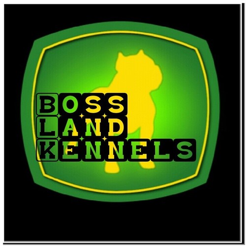 New to the kennel biz. Follow @theajrich the CEO. Home of Nina and Rambo. Pitbull kennel,