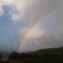 cathy - @cathy_waldron - Twitter