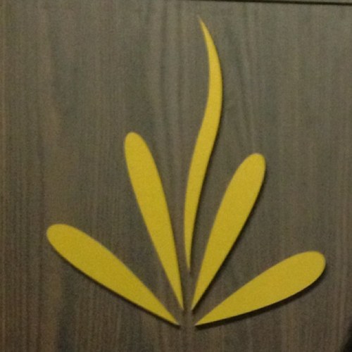 spalotusbh's profile picture. 