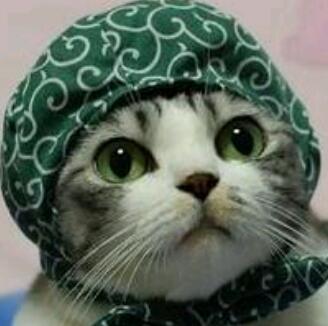 jupi414's profile picture. 