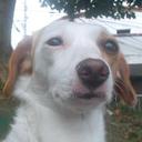 Dani Escobar - @DaniEscobar__ - Twitter