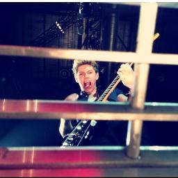 Nialler_1D65's profile picture. •i said can i take you home with me?,She said Never in your wildest dreams•