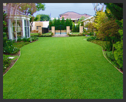 Awesome Turf Supplies is located in the Hawkesbury area of NSW. No matter what kind of lawn, turf, grass you are after we are here to assist.