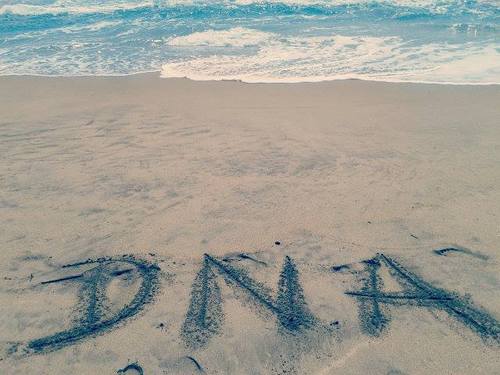 D.N.A. - Dazzling Natural Artists. ~  Grupo Cover de K-Pop / Cover Group of K-Pop .:::. de/from: Santa Marta, Colombia.