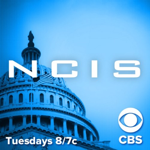 This is a fan page for NCIS! Follow us on instagram! @ncis_fan_page #NCIS #Probies #WeAreProbies **NO CUSSING OR BULLYING ZONE**