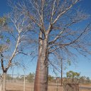 Sandra Mortimer - @SMortimer1964 - Twitter