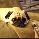 Jeff Back - @jback_jeff - Twitter