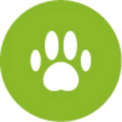 socialvets's profile picture. Social Media & Online Reputation Management For Veterinarians