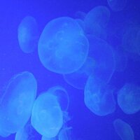 Mame (@mh0206) 's Twitter Profile