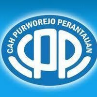 CPP Tangsel (@cpptangsel) 's Twitter Profile