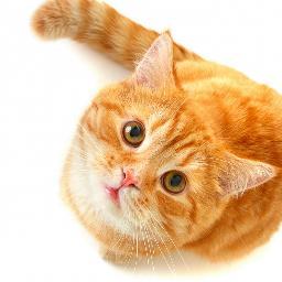 NiezaKaini's profile picture. Just because today is a terrible day doesn't mean tomorrow won't be the best day of yourlife. You just gotta get there.