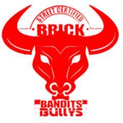 Brick Bandit Bullies (Brick Bandits Entertainment LLC)
DJ/Music Production Based Team
All inquiries please email brickbanditbullies@gmail.com