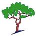 SJH Nursery (@plantsupply) Twitter profile photo SJH Nursery (@plantsupply) Twitter profile photo