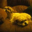 Tracy Winter - @SPNFan_81 - Twitter