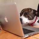 Jade Archer - @Jadearcher81 - Twitter