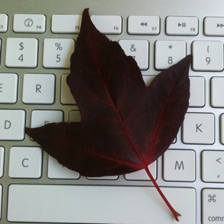 yoshinotaichi's profile picture. コンピュータ技術に取り組む教師、インタプリタ。『回路を流れるのは愛だ！』と言ってみたい☆ETロボコン南関東大会でなんとか委員をつとめています@etrobomkt