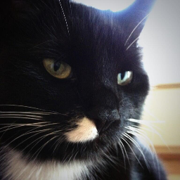 FLaTLiNeD79's profile picture. 