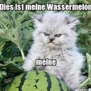 Bryn Allen - @MostJuicyMelon - Twitter