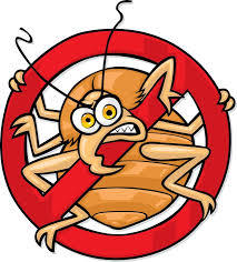 Kill Bed Bugs.ME is my blog to show you How to Kill Bed Bugs with my simples systems and create your own business. #bedbugs #killbedbugs #startabusiness
