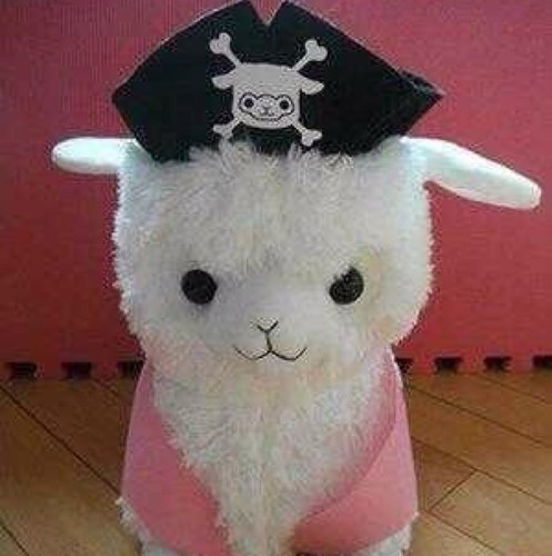 น้องเอช อัลปาก้า~ ของปาป๊าคริส มารายงานตัวแว้วฮับ~ ป๋มน่ารักน่ากอดสุดๆ /พูดได้เพราะกินผลไม้ปีศาจ(?)/เรียนโรงเรียนอนุบาลอินเตอร์อัลปาก้า(?)