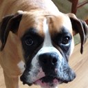 Darrell Craig - @CraigDwc63 - Twitter