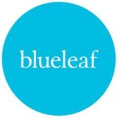 Tweeting all the latest Blueleaf vacancies!