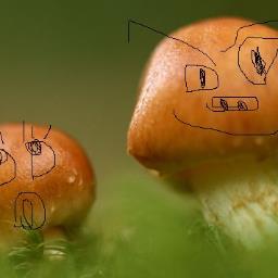 人には見られたくないけど、ひとりでいるときに、笑ってしまう時がある・・・