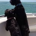 Iris Sissler - @IrisSissler - Twitter