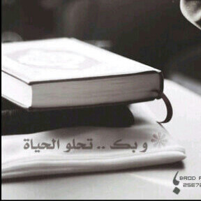 zxxxcvj's profile picture. 