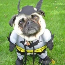 JorgeRandazzo74's profile picture. Es necesario primero el cambio personal para después seguir con el mundo.