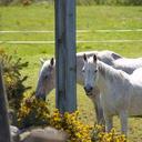 Cheryl Thomson - @cheze09 - Twitter