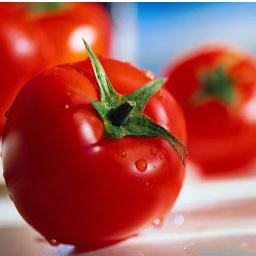 SlimmingEater's profile picture. Slimming World Recipes