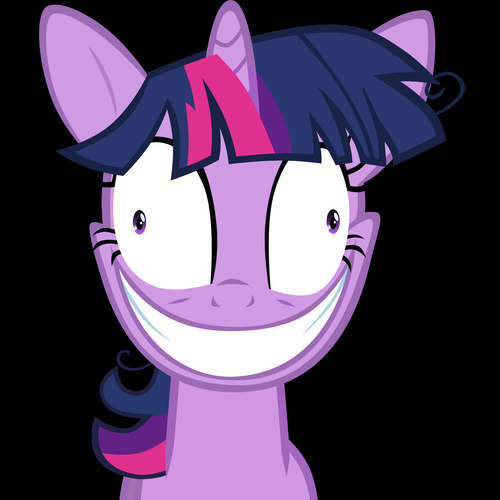 Brony,Nickster,Arianator,Victorian,Adventurer,Vocaloid Fan,Hater of Twitter`s 160 word bio limit.