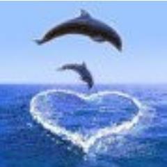 Dolfin317's profile picture. 