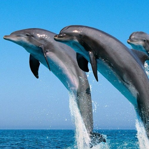 GGovindaraju's profile picture. 