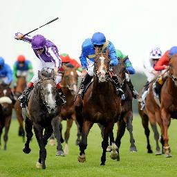 Free tipping service, no charge just a few horse racing selections for the day, all tips will be on my timeline before the start of racing