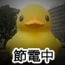 画像は､Rubber Duck｡'11.10.大阪･中之島にて｡展示目的等→https://t.co/IRIblftKUp… 製作者サイト→https://t.co/CV61324siO (英語)◆®&© Florentijn Hofman 千島土地株式会社 ◆時々毒吐きますww