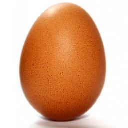 Just an ordinary egg amongst many others