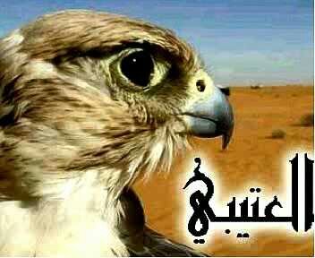..؟