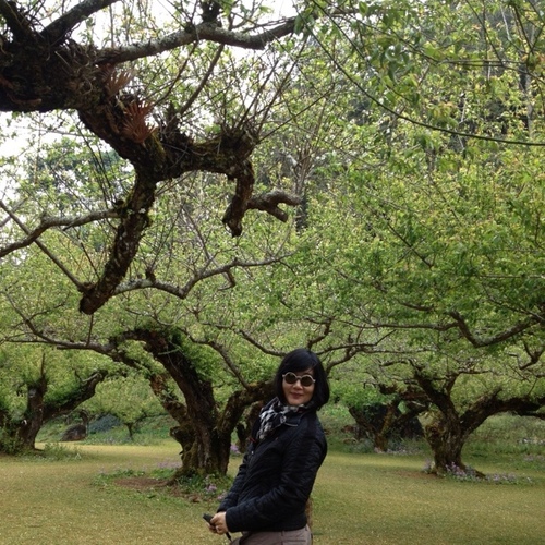 PuhmPrasert's profile picture. Love and Peace Please!