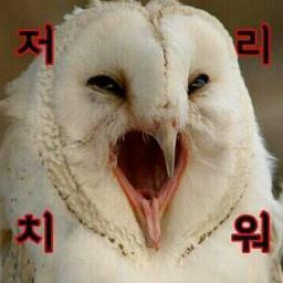 봄동식/옞몬さんのプロフィール画像