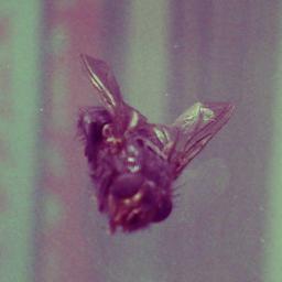 g_laas's profile picture. 