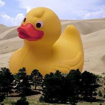 pope rubber duck