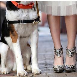 HeidiCharlenePh's profile picture. Photographer. Loves - kids, dogs, fashion, laughter, and sarcasm.  Morning person who enjoys chasing the sunrise.