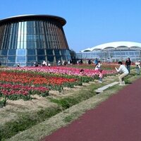 新潟市観光情報 (@niigatacityinfo) 's Twitter Profile Photo 新潟市観光情報 (@niigatacityinfo) 's Twitter Profile Photo
