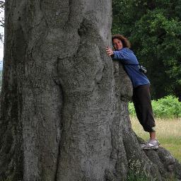 Field evolutionary ecologist studying plants, insects and natural communities