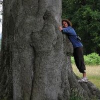 Sharon Strauss (@sharonstrauss1) 's Twitter Profile