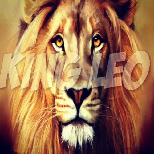 #TeamLeo #BMF ╭∩╮( ^.^ )╭∩╮