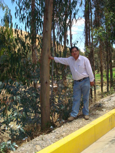 Ing. Civil construcción de estructuras y carreteras.